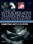 Atlas of Intraoperative Transesophageal Echocardiography "Surgical and Radiologic Correlations, Text with DVD"