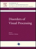 Disorders Of Visual Processing