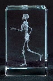 Bloque de Vidrio Esqueleto