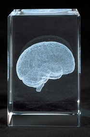 Bloque de Vidrio Cerebro