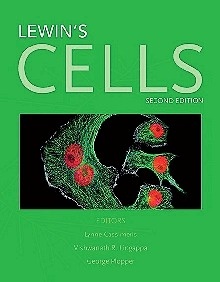 LewinS Cells