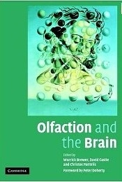 Olfaction and the Brain