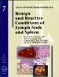 Benign & Reactive Conditions Of The Lymph Node & Spleen Vol. 7 "Atlas Of Nontumor Pathology"