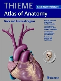 Neck and Internal Organs - Latin Nomenclature (THIEME Atlas of Anatomy)