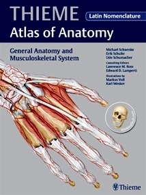 General Anatomy and Musculoskeletal System - Latin Nomenclature (THIEME Atlas of Anatomy)