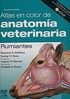 Atlas en Color de Anatomia Veterinaria: Rumiantes