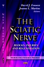 The Sciatic Nerve: Blocks, Injuries and Regeneration