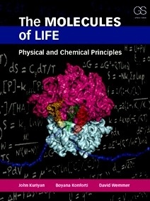 The Molecules of Life. Physical and Chemical Principles