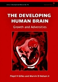The Developing Human Brain: Growth and Adversities