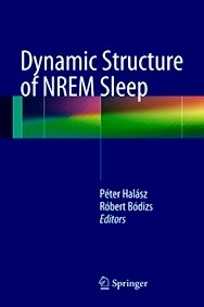 Dynamic Structure Of Nrem Sleep