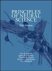 Principles Of Neural Science