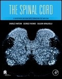 The Spinal Cord "A Christopher and Dana Reeve Foundation Text and Atlas"