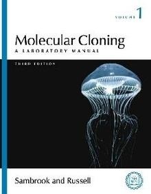 Molecular Cloning. 3 Vols. "A Laboratory Manual."