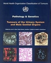 Tumours of the Urinary System & Male Genital Organs. Vol. 7 "Pathology and Genetics"
