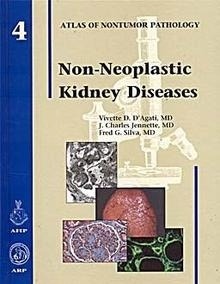 Non-Neoplastic Kidney Diseases. Vol. 4 "Atlas of Nontumor Pathology"