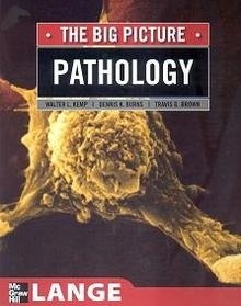 The Big Picture Pathology