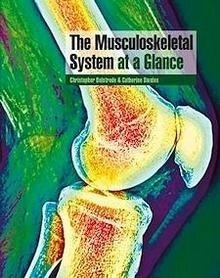 The Musculoskeletal System At a Glance