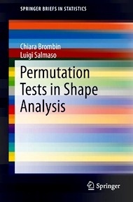Permutation Tests in Shape Analysis