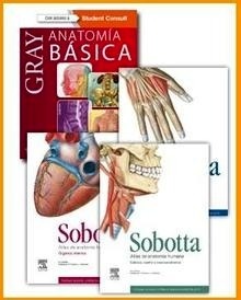 Lote Mini Drake + Sobotta "Anatomia Básica + Atlas de Anatomía"
