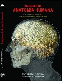 Imágenes de Anatomía Humana. CD-Rom