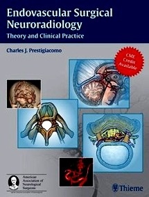 Endovascular Surgical Neuroradiology "Theory And Clinical Practice"