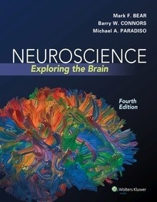 Neuroscience "Exploring the Brain"