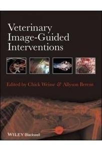 Veterinary Image Guided Interventions