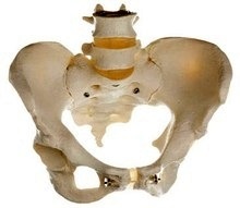 Esqueleto de la Pelvis, femenino