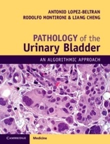 Pathology of the Urinary Bladder "An Algorithmic Approach"