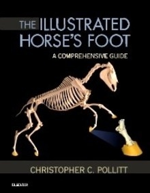 The Illustrated Horse's Foot "A comprehensive guide"