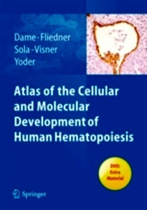 Atlas Of The Cellular And Molecular Development Of Human Hematopoiesis