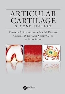 Articular Cartilage