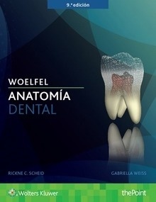 Woelfel, Anatomía Dental