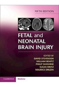 Fetal And Neonatal Brain Injury