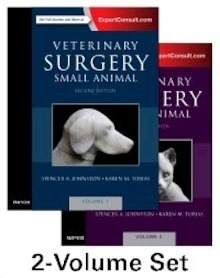 Veterinary Surgery: Small Animal