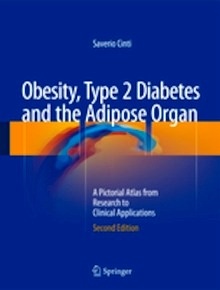 Obesity, Type 2 Diabetes and the Adipose Organ "A Pictorial Atlas from Research to Clinical Applications"