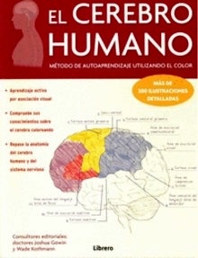 El Cerebro humano