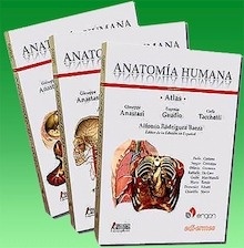 Atlas Anatomía Humana 3 Vols.