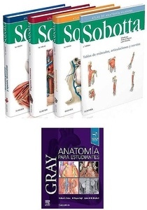 Lote Sobotta Atlas de Anatomía Humana, 3 Vols. + Gray Anatomía para Estudiantes
