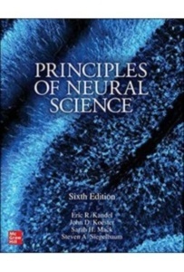 Principles Of Neural Science