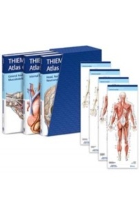 Thieme Atlas Of Anatomy 3 Vols. "Latin Nomenclature"