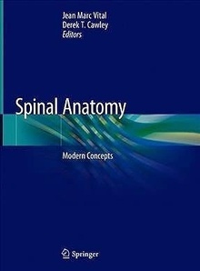 Spinal Anatomy. Modern Concepts