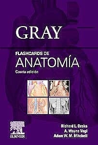 Gray Flashcards de Anatomía