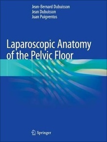 Laparoscopic Anatomy of the Pelvic Floor