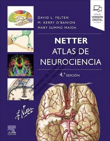 NETTER Atlas de Neurociencia