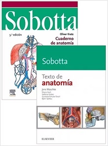 Lote SOBOTTA Texto de Anatomía + SOBOTTA Cuaderno de Anatomía para Colorear