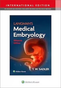 LANGMAN's Medical Embryology
