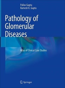 Pathology of Glomerular Diseases "Atlas of Clinical Case Studies"