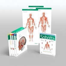 Sobotta Atlas Of Anatomy 3 Vols.