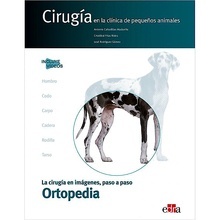 Cirugía en la Clínica de Pequeños Animales "Ortopedia"